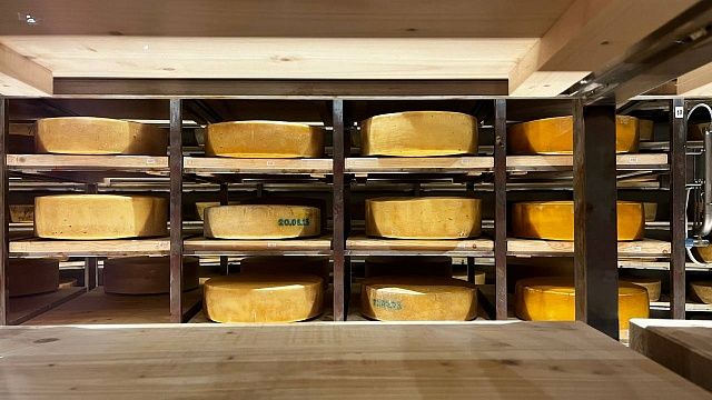 Выпуск сыров почти на треть нарастил «Агрокомплекс» на Кубани