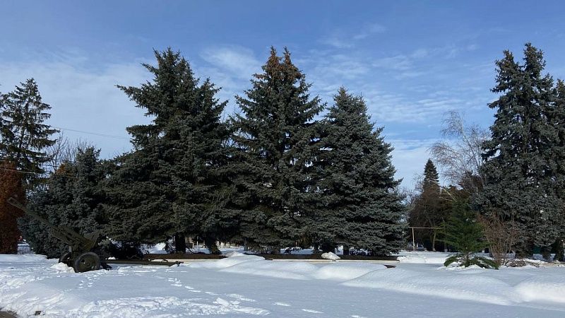 Морозы и снегопады ожидаются после праздничных выходных в городах России