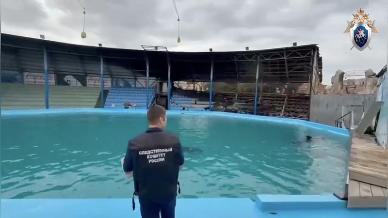 Опубликованы кадры плавающих дельфинов в сгоревшей крокодиловой ферме в Ейске