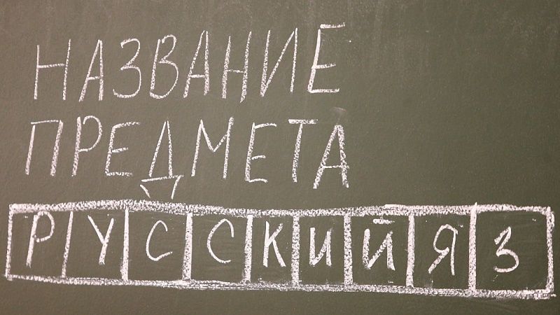 О преимуществах ЕГЭ перед украинской системой заявил директор школы в Крыму