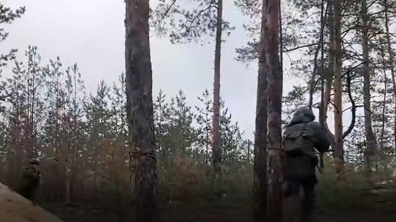 Группу из восьми украинских диверсантов блокировали в Брянской области 