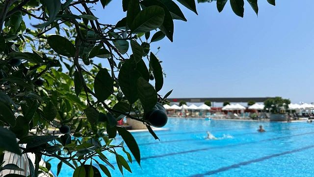 Фото: телеканал «Краснодар»