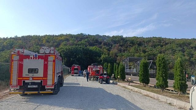 Пожарные борются с огнём в лесном массиве под Сукко