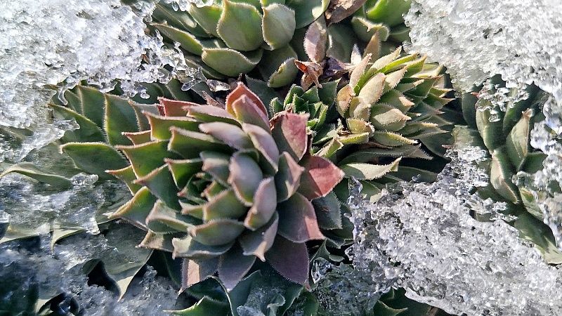 Мокрый снег и небольшое потепление обещают в Краснодаре 3 марта 