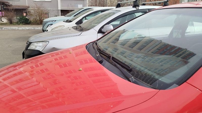 Вандал разгромил 15 припаркованных автомобилей в Краснодаре