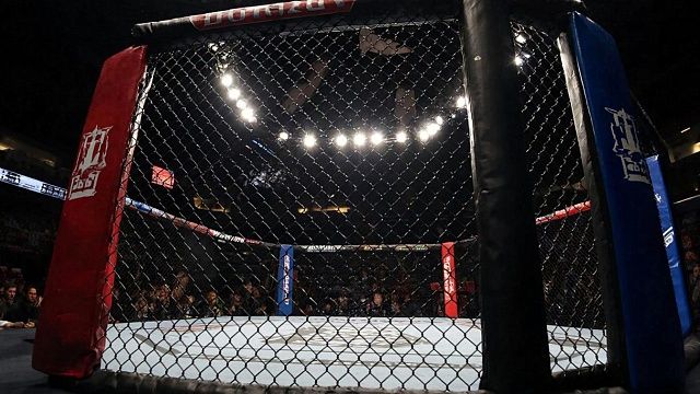 Пётр Ян расшиб нос и пробил печень Мерабу Двалишвили на UFC 323