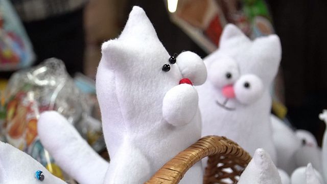 Плюшевые коты, фото телеканал «Краснодар»