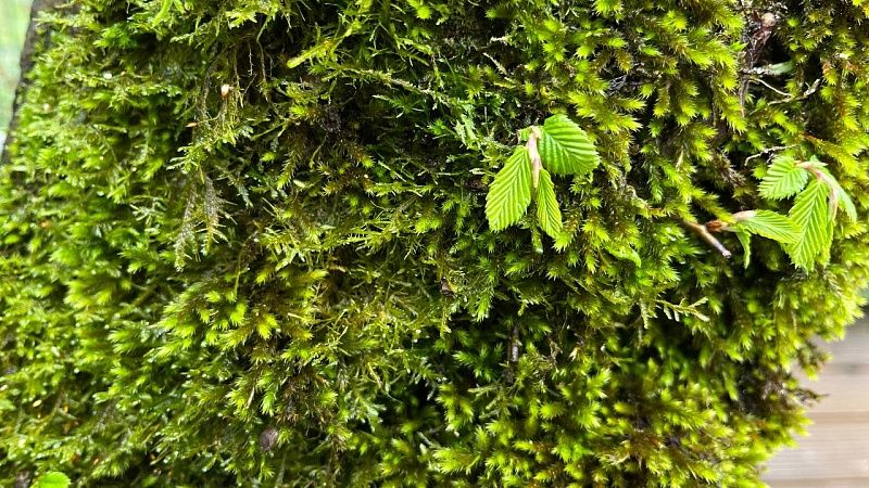 Более 10 нарушений природоохранного режима выявили на «Ахтарских Озерах»