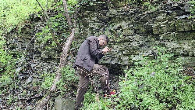 Неизвестного науке кольчатого червя обнаружили ученые в заповеднике на Утрише 