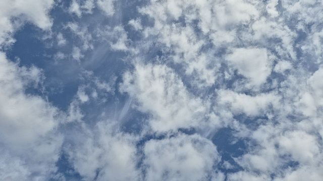 Фото: телеканал «Краснодар»