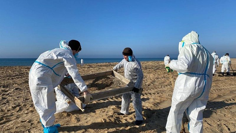 «Чёрное море умирает» и прочие сказки. Почему ЧС в Анапе стала поводом для спекуляций и фейков?