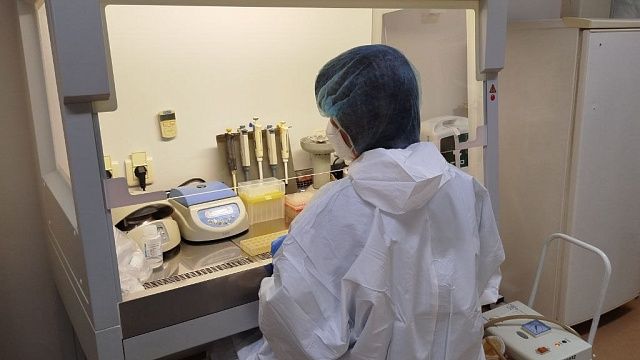 Новый препарат для профилактики гриппа на основе интерферона создали в России