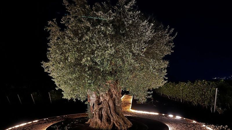 Зону отдыха с детскими и спортивными площадками преобразят в Кропоткине