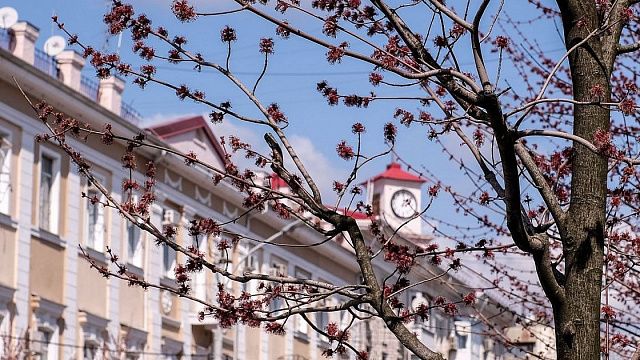 Метеорологи рассказали о самом холодном и жарком 25 марта в истории Краснодара