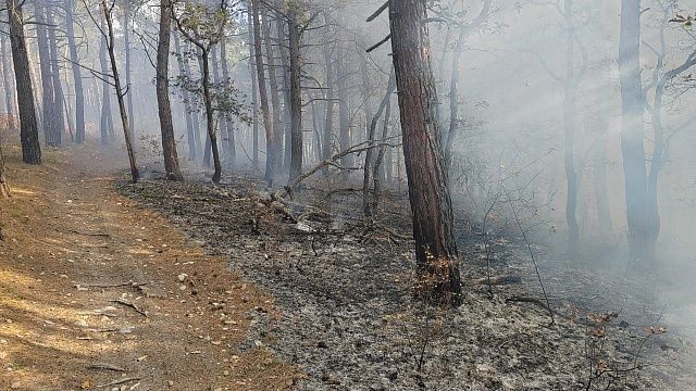 Фото: оперативный штаб Краснодарского края