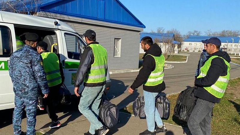 На Кубани выдворили за пределы страны 18 незаконных мигрантов 