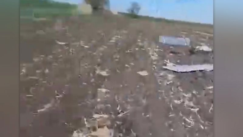 Очевидцы сняли на видео обломки БПЛА в поле в Крымском районе 