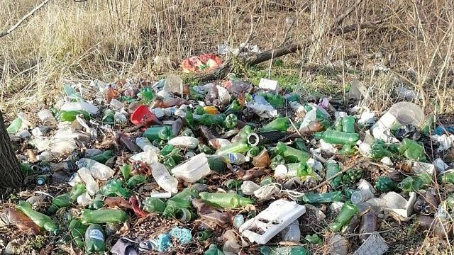 Краснодарские эковолонтеры проведут уборку мусора на Гидрострое