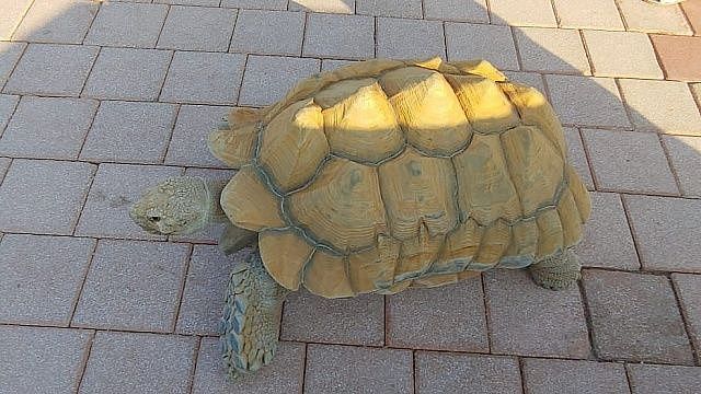 Фото: телеканал «Краснодар»