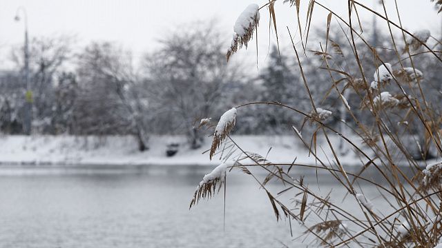 Дождь и мокрый снег прогнозируют в Краснодаре в субботу