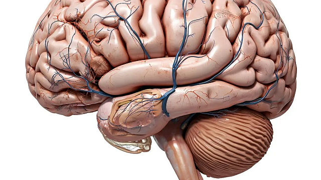 Изображение создано при помощи ИИ