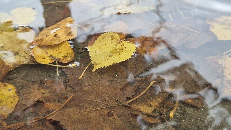 Дождь с мокрым снегом обрушится 27 февраля на Краснодар 
