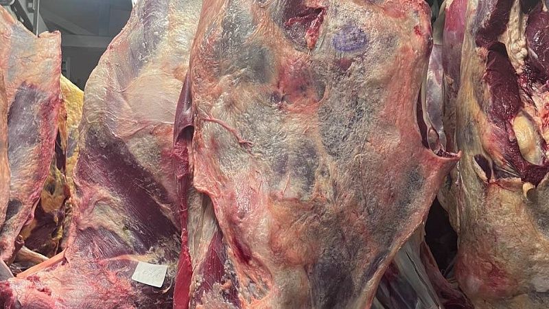 Приезжие извинились за зарезанного барана на детской площадке в Новой Москве