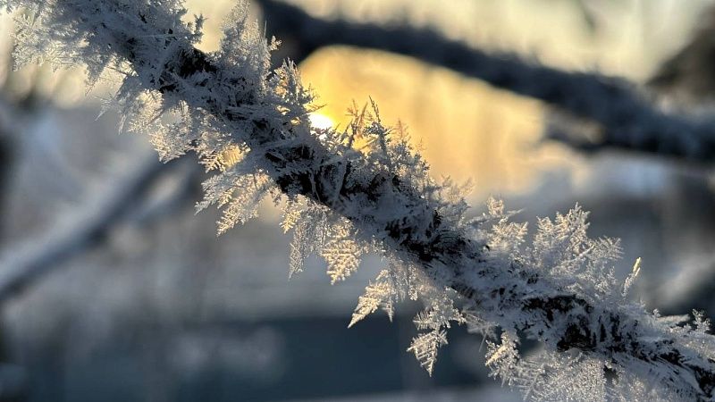 В Гидрометцентре спрогнозировали заморозки на Кубани