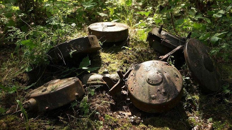 Минометные мины нашли в пятиэтажном доме в Волгограде