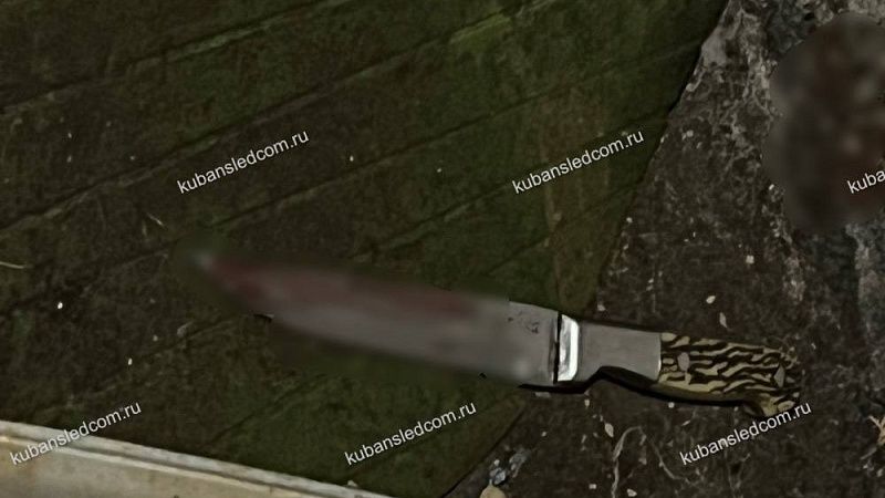 Завершено расследование смертельной поножовщины друзей на Новый год в Ейске  