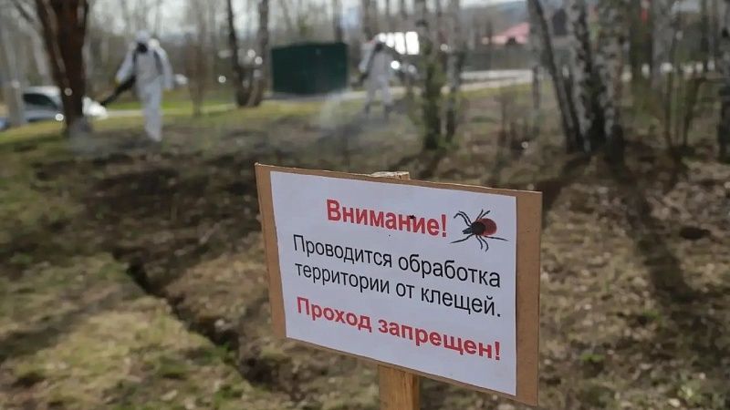 Покос травы и борьбу с клещами усилят в Краснодаре 