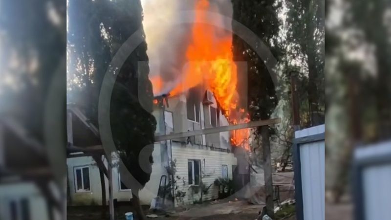 Енота-электрика обвинили в пожаре площадью 100 квадратов в Сочи