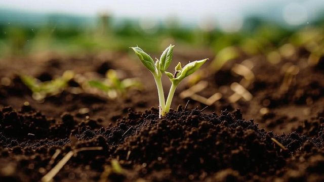 Изображение создано при помощи ИИ