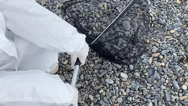 Фото: телеканал «Краснодар» 