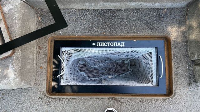 На ливневках Краснодара установили экспериментальную систему «Листопад»