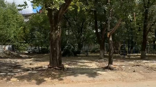Фото: пресс-служба администрации Краснодара
