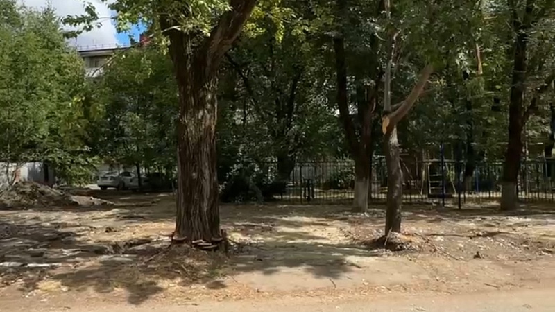 Наумов рассказал о замене незаконных гаражей на зёленые уголки в Краснодаре