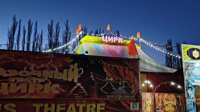 Появилось видео падения акробата с лошади во время трюка в Нижнем Новгороде