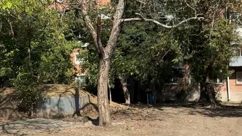 Зелёная зона появится на месте свалки в Краснодаре