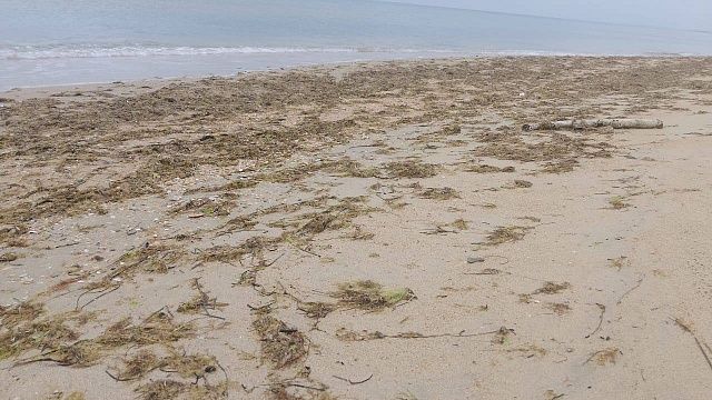 Фото: оперативный штаб Краснодарского края