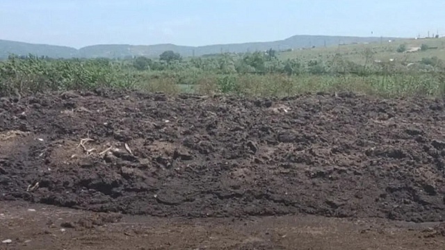 Фото: пресс-служба Росприроднадзора