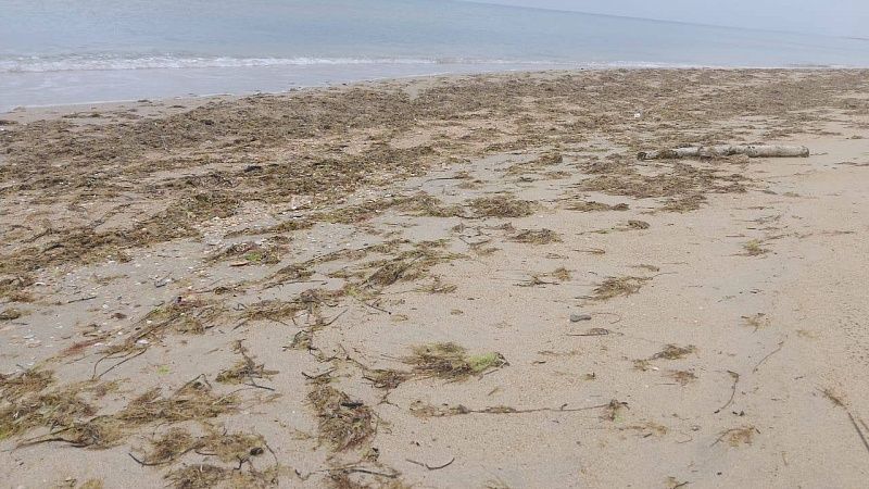 Новые выбросы мазута обнаружили 23 апреля на побережье в трёх районах Анапы 