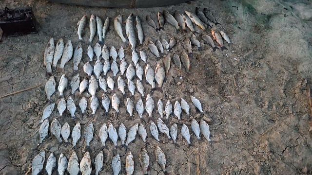 Фото: Росгвардия Краснодарского края