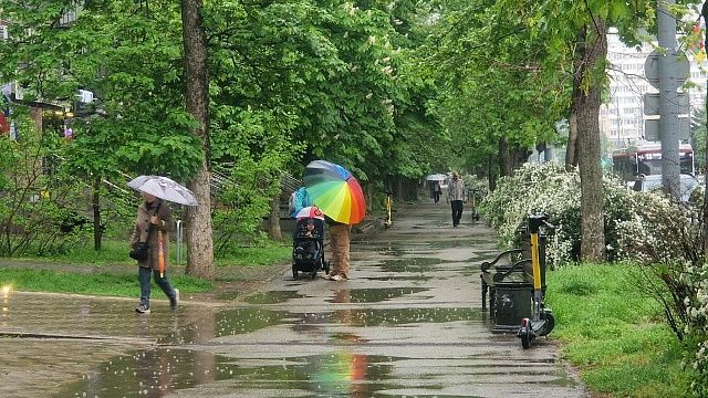 Фото: телеканал «Краснодар»