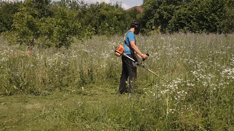 С середины мая в Прикубанском округе Краснодара очистили 600 га от амброзии