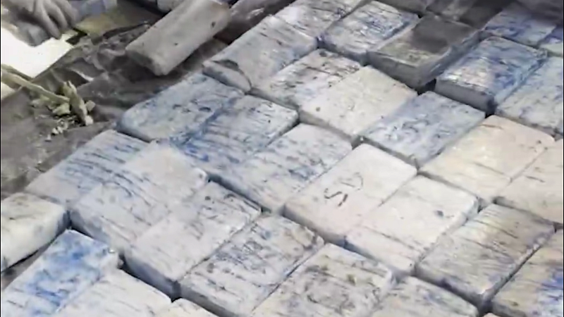 Партию кокаина на 500 млн рублей обнаружили в грузе с бананами в порту Питера