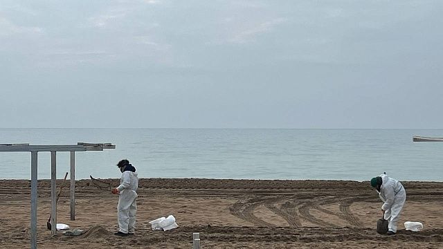 Спасшие пляжи от мазута во время шторма защитные сети начали менять в Анапе 