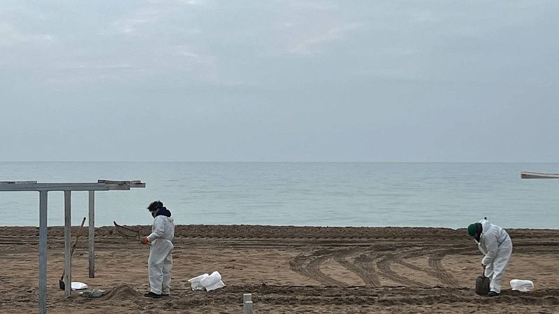 Спасшие пляжи от мазута во время шторма защитные сети начали менять в Анапе 