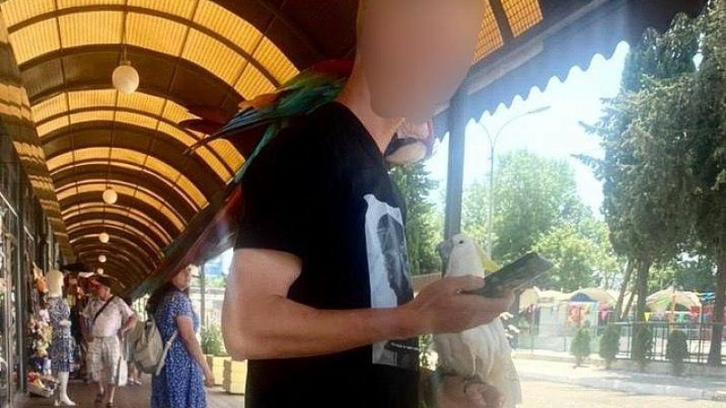 Полиция Сочи изъяла у уличных фотографов двух попугаев