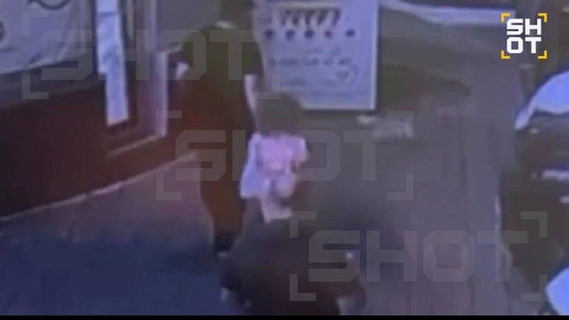 Мужчина избил чужую чихуахуа и спровоцировал ее смерть в Новороссийске